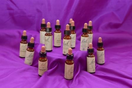 Bach Flower Remedies - &copy; Copyright Purple-World