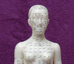 Over 365 acupuncture points &copy; Copyright Holistic Tranquillity Coventry
